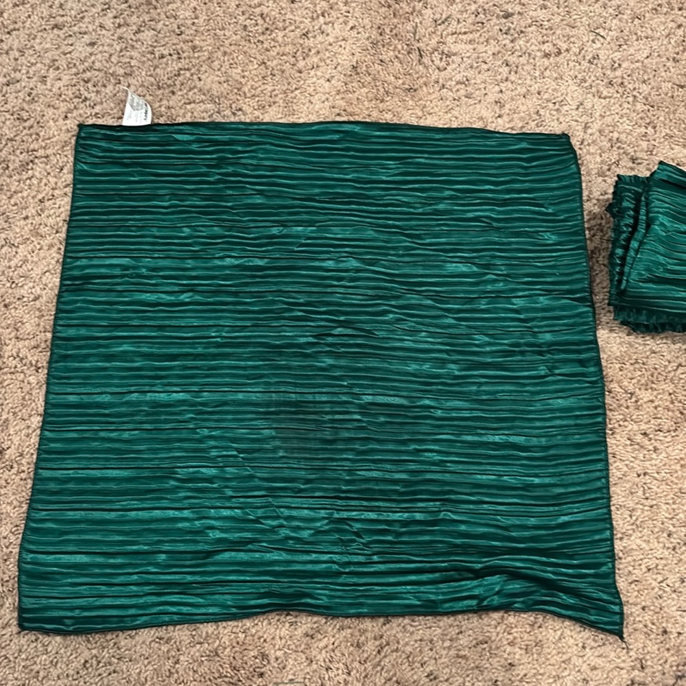 Pier 1 Cloth Napkinss